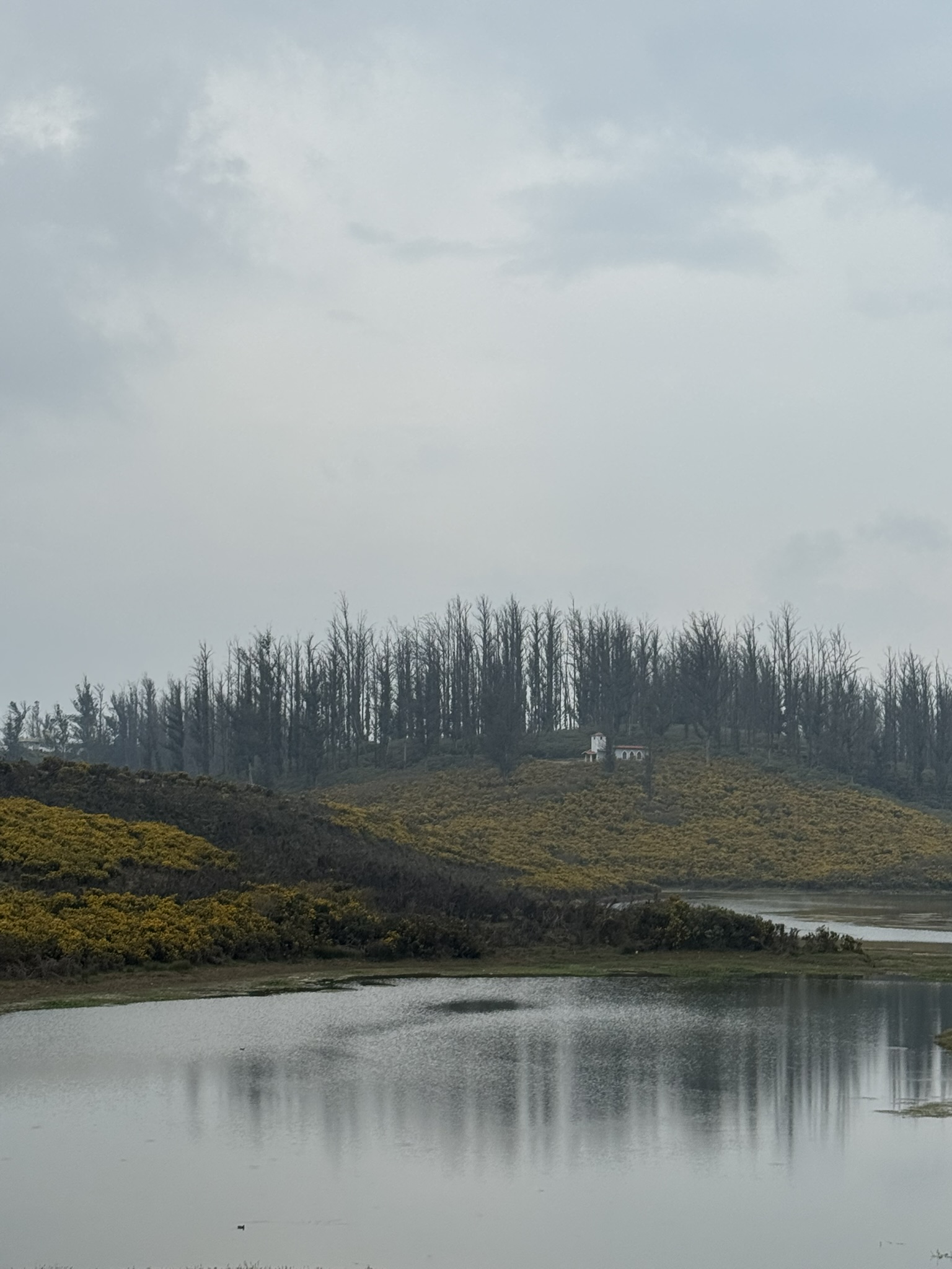 Sandynulla lake